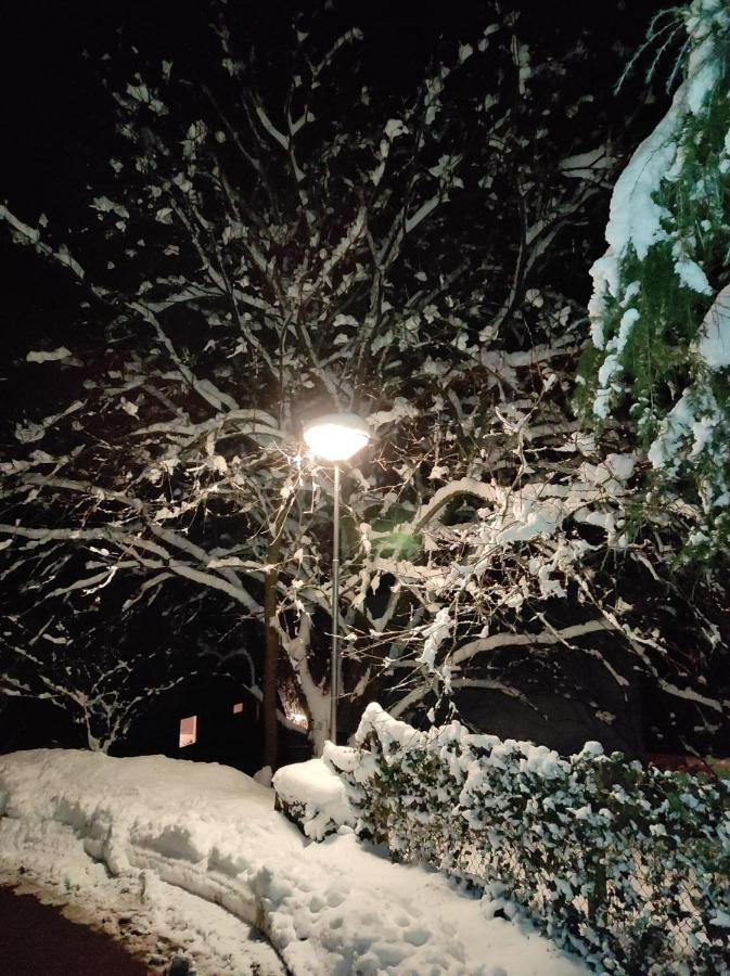 La Terrasse 226 Lägenhet Malmedy Exteriör bild