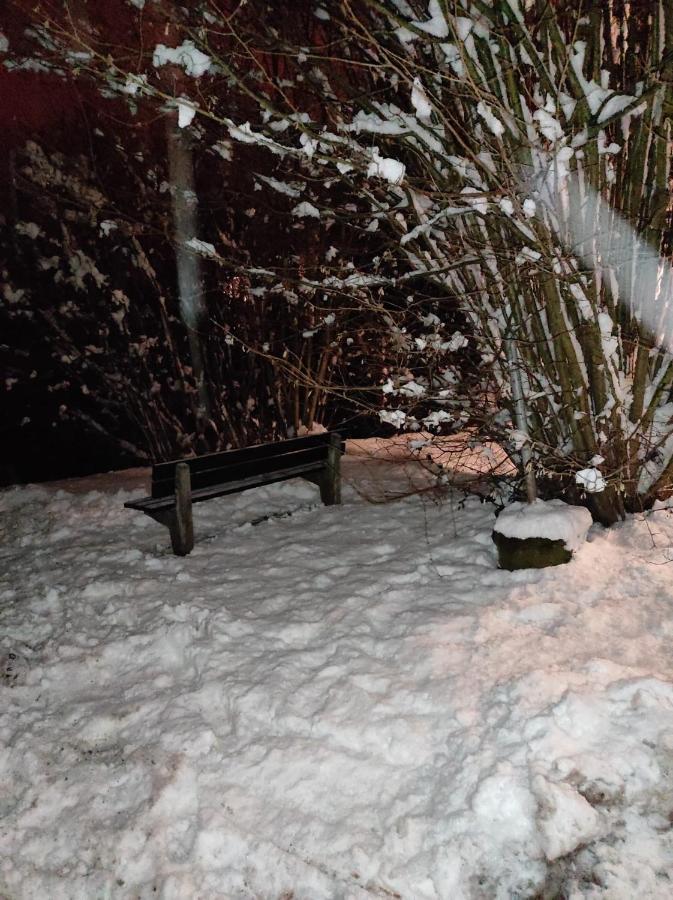 La Terrasse 226 Lägenhet Malmedy Exteriör bild
